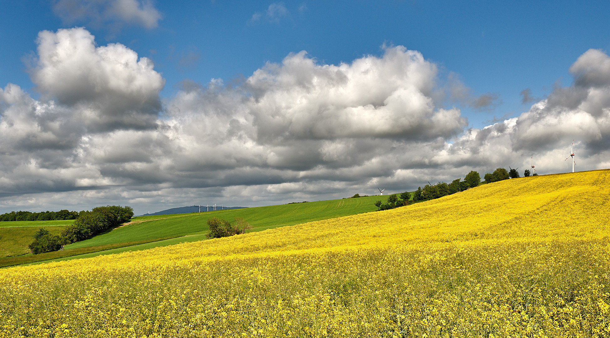 Heute 29.04.2020 war SUPER Wolkenwetter,