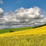 Heute 29.04.2020 war SUPER Wolkenwetter,