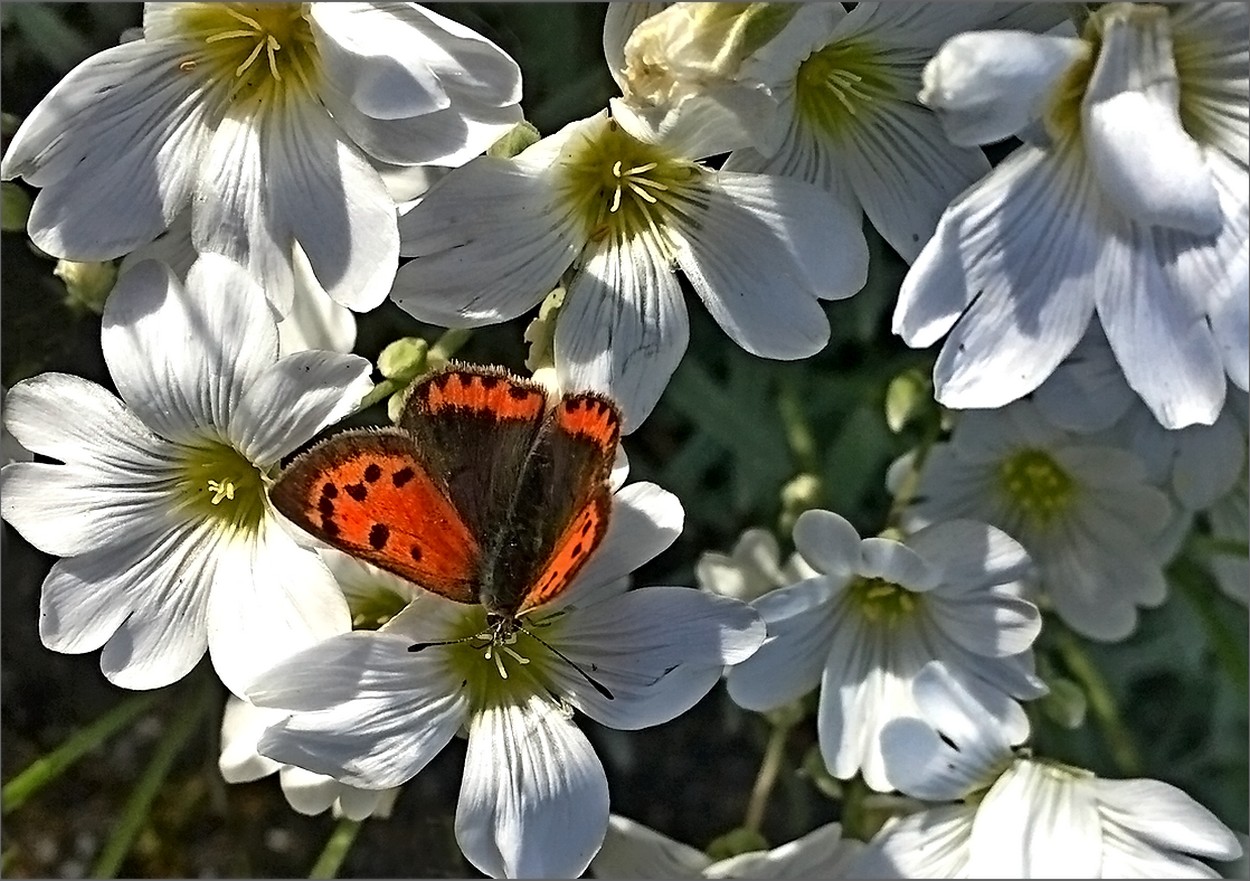 heute