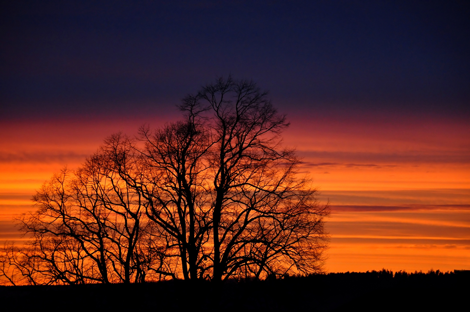 HEUTE ABEND