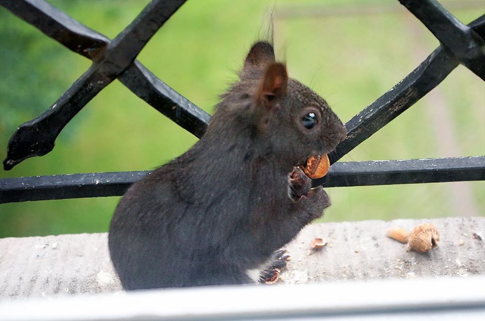 Heute Abend am Fenster