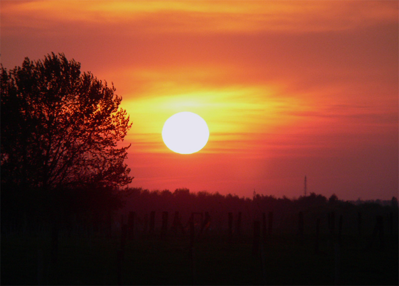 Heute abend am Rhein......