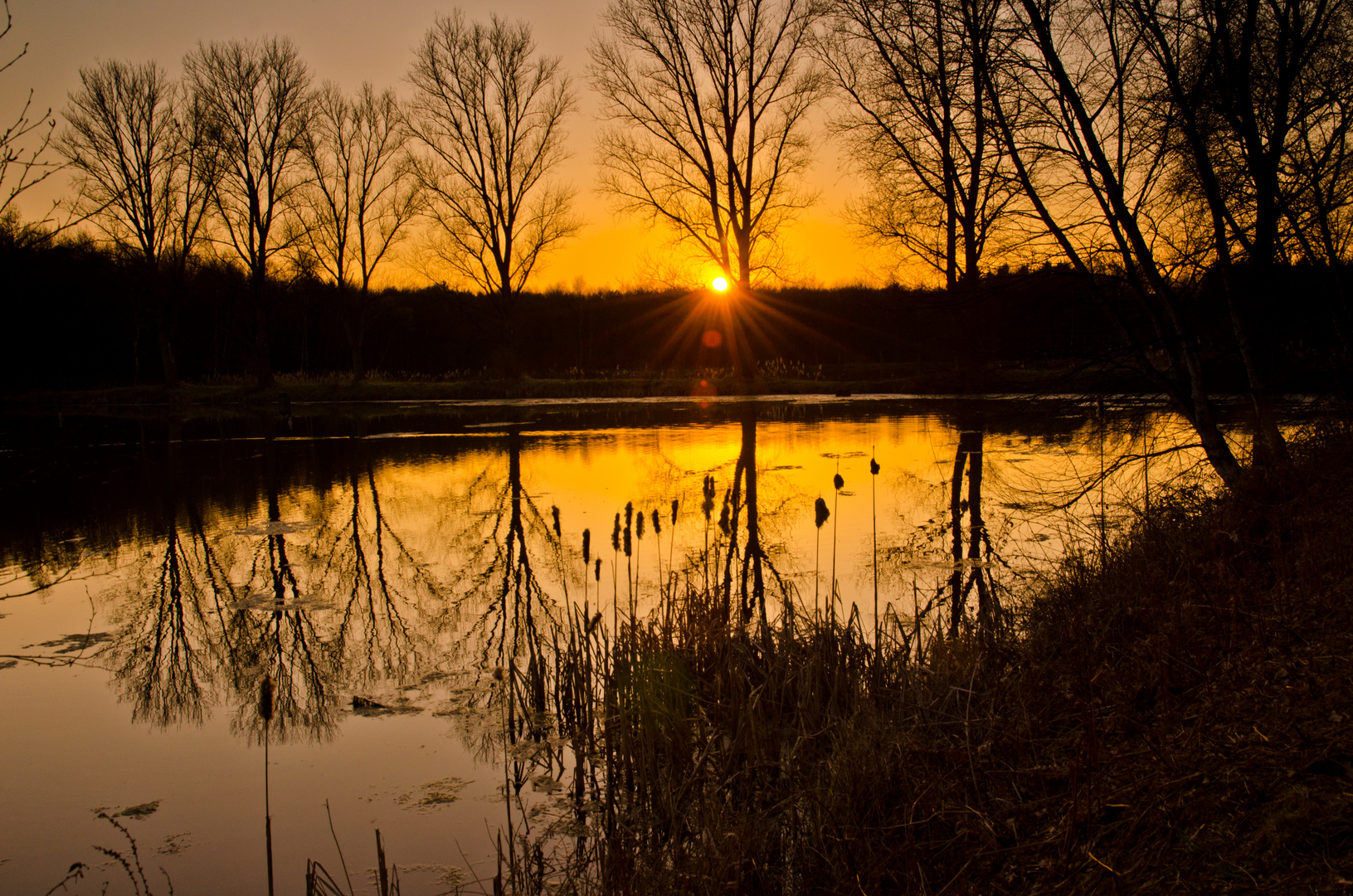 Heute Abend am See