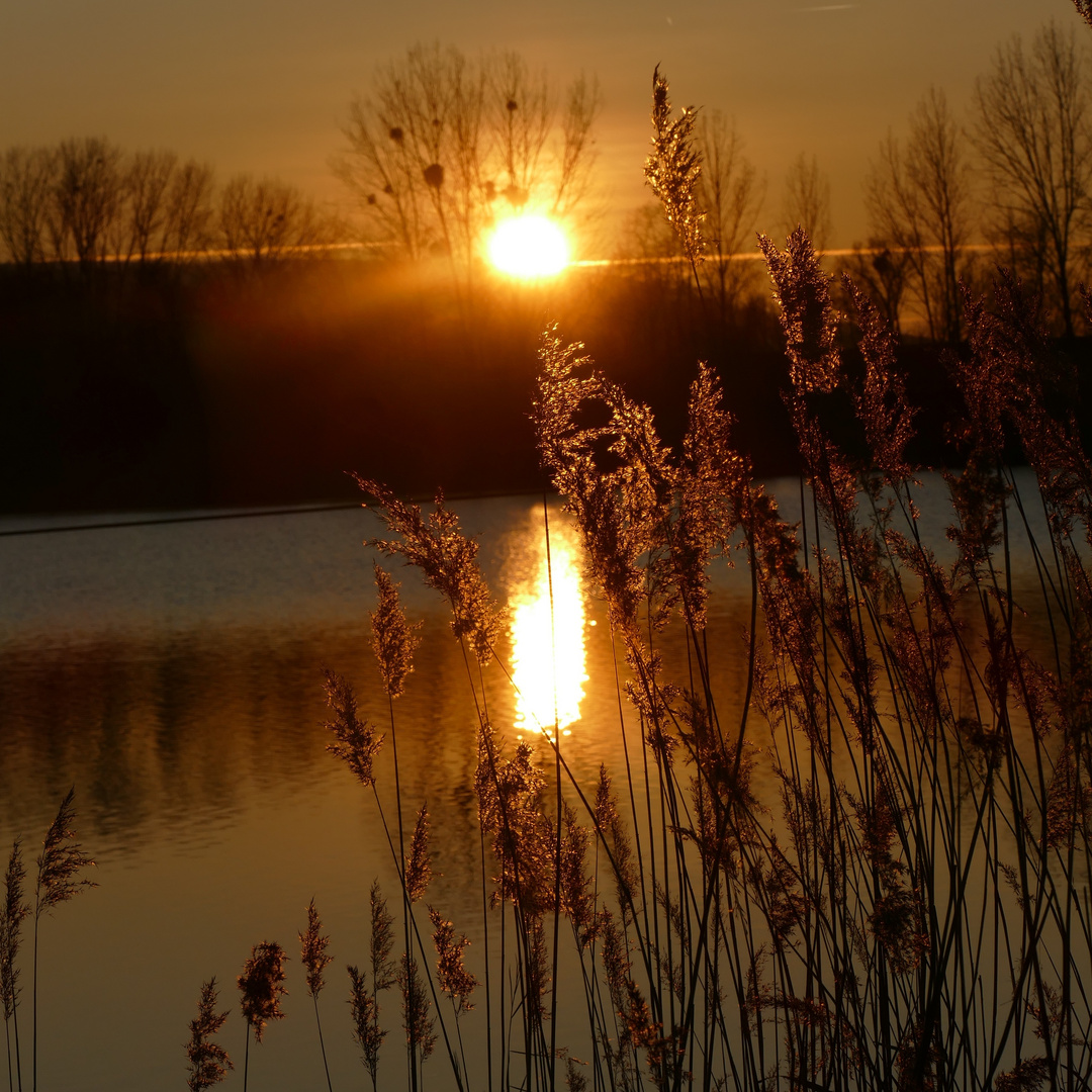 Heute Abend am See