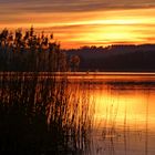 Heute Abend am Teterower See in Teschow