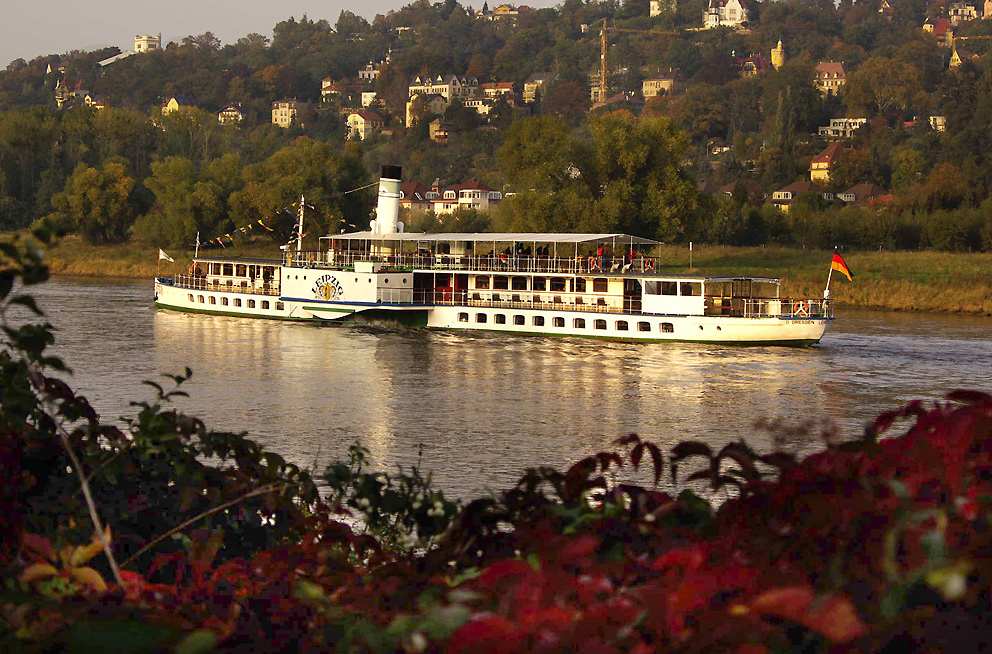 heute abend an der Elbe