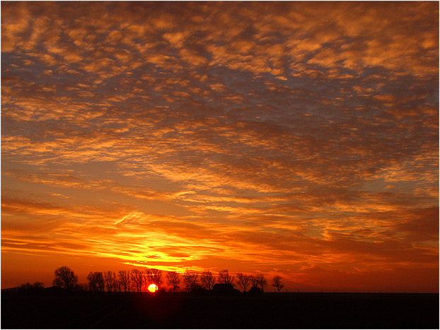 Heute Abend auf dem Feld.......