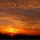 Heute Abend auf dem Feld.......