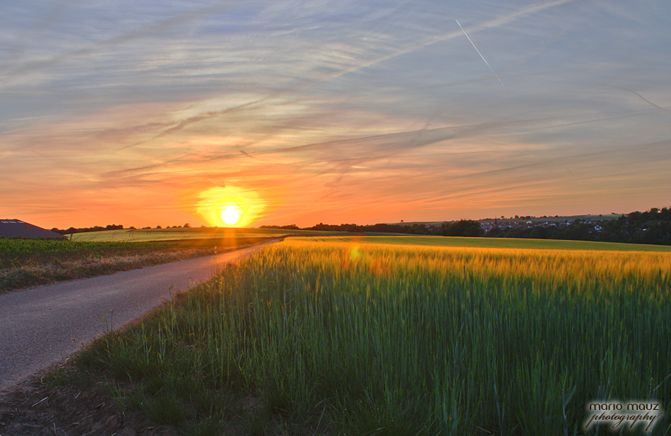 Heute Abend bei Sonnenuntergang.