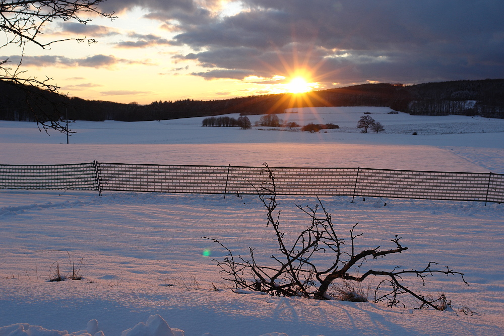 heute abend