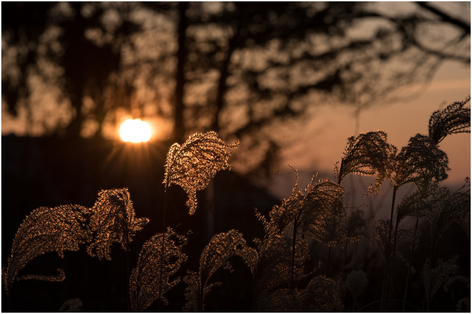 heute abend im garten