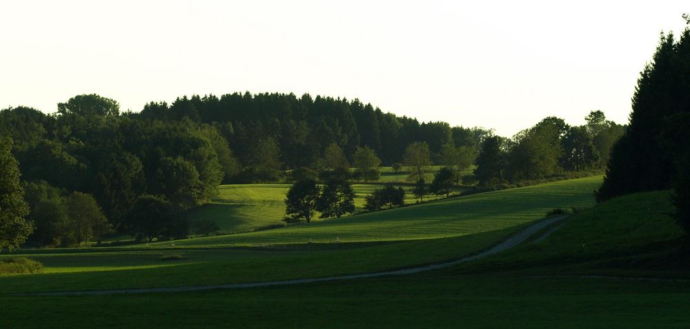 Heute Abend im Rotbachtal