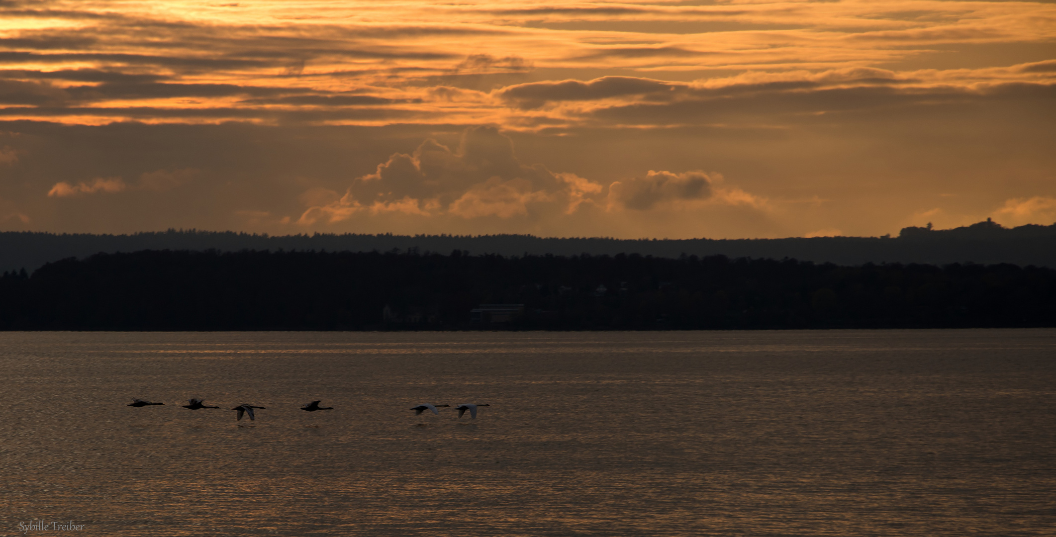 Heute Abend in Meersburg