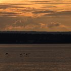 Heute Abend in Meersburg