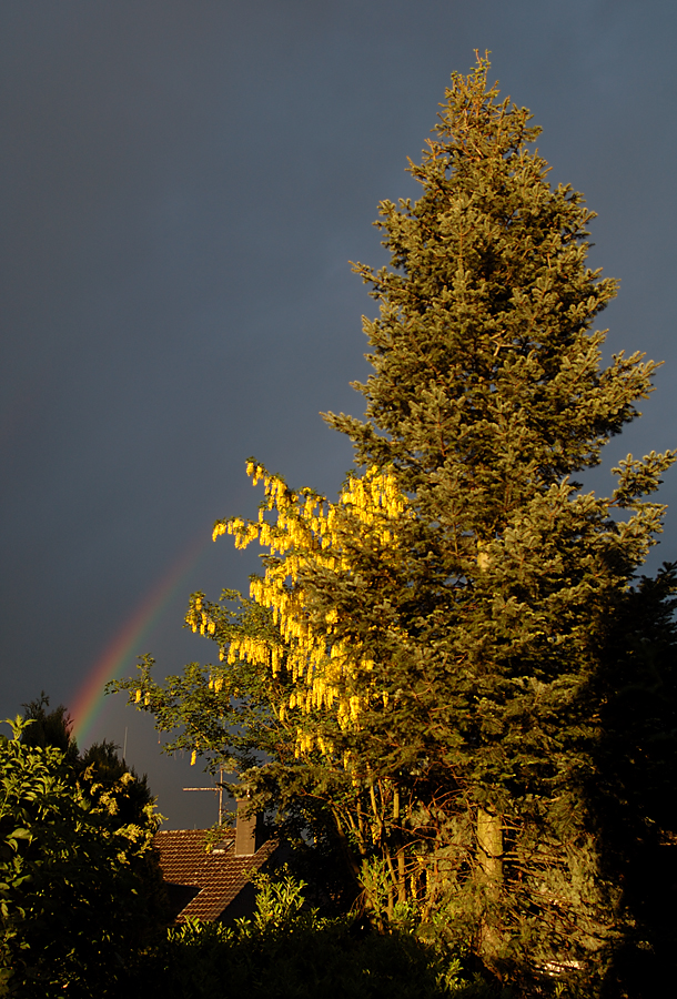 Heute abend nach dem GEWITTER...kam dieser schöne Regenbogen!!!