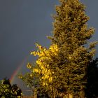 Heute abend nach dem GEWITTER...kam dieser schöne Regenbogen!!!