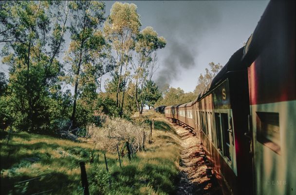 Heute alles überwuchert