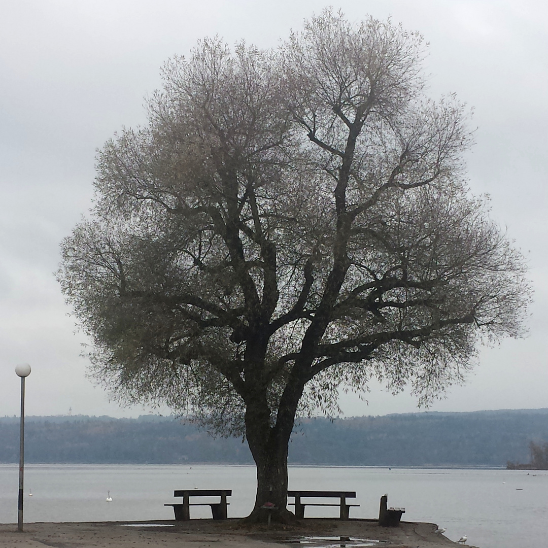 Heute am Ammersee