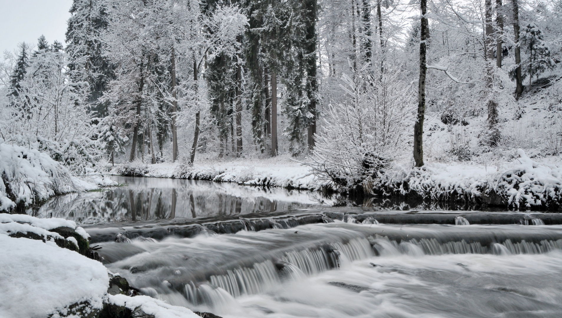 heute am Bach