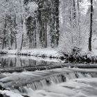 heute am Bach