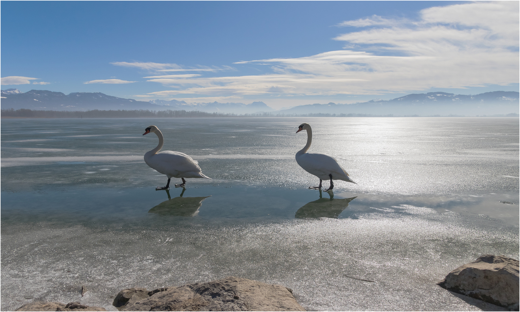 Heute am Bodensee