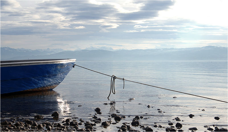 .... heute am Bodensee