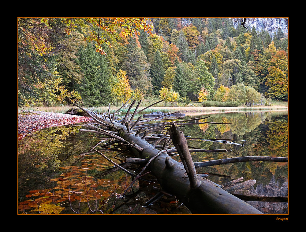 heute am Feldsee...