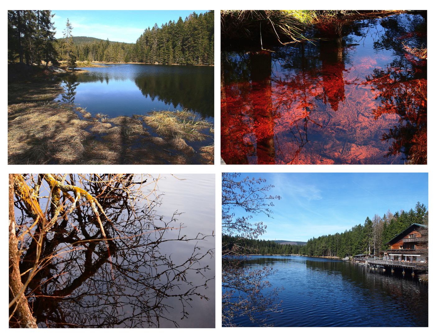 Heute am Fichtelsee