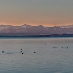 Heute am frühen Morgen am Starnberger See
