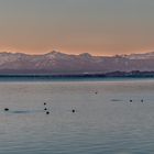 Heute am frühen Morgen am Starnberger See