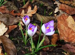 Heute am frühen Nachmittag 