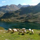 Heute am Giglachsee