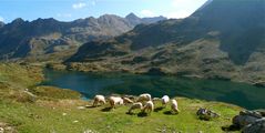 Heute am Giglachsee