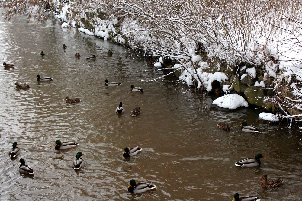 Heute am Kanal