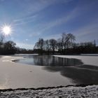 ..Heute am Kleinhesseloher See - Engl.Garten