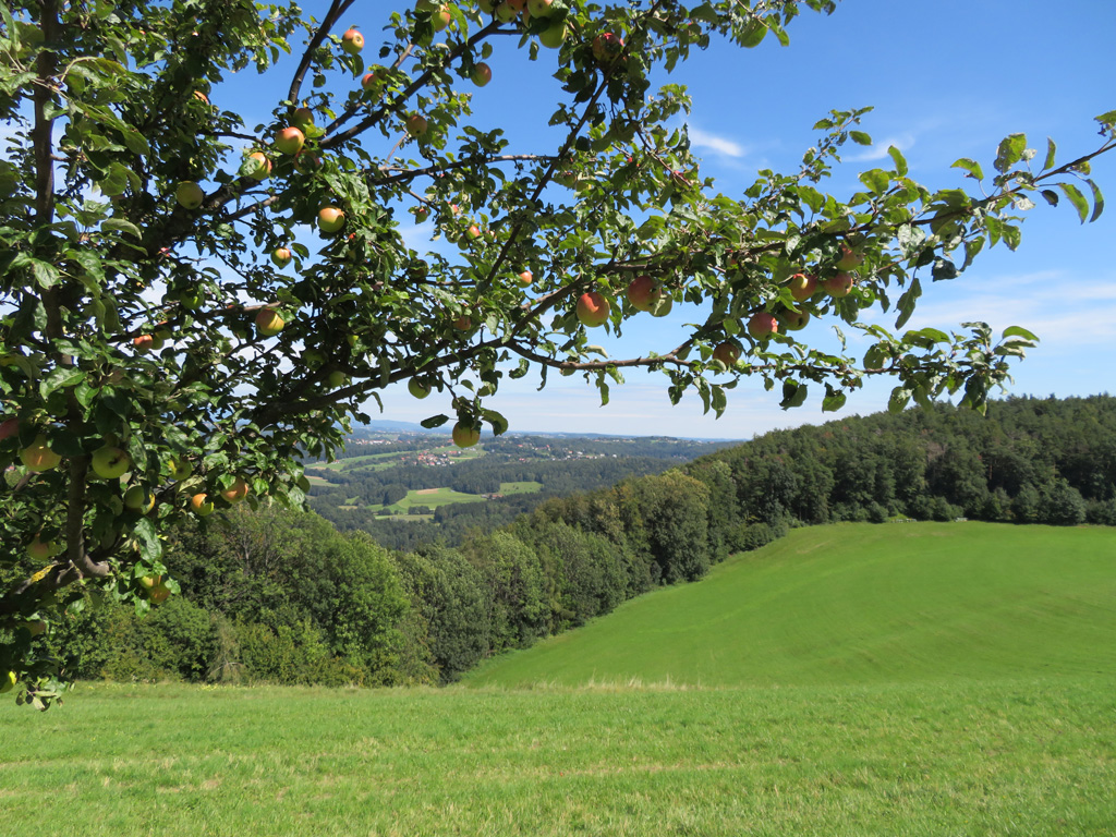 Heute  Am Liencek 