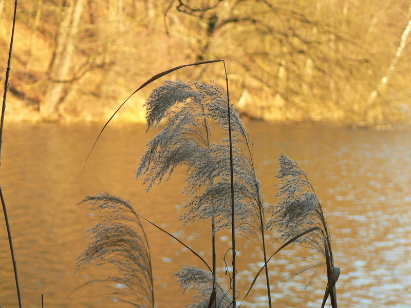 Heute am Maxsee