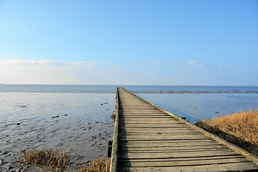 ...Heute am Meer