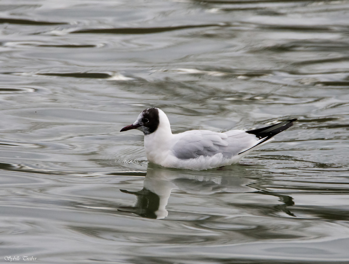 Heute am Neckar