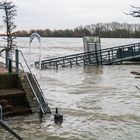 Heute am Niederrhein