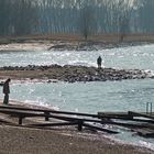 heute am Rhein (2)