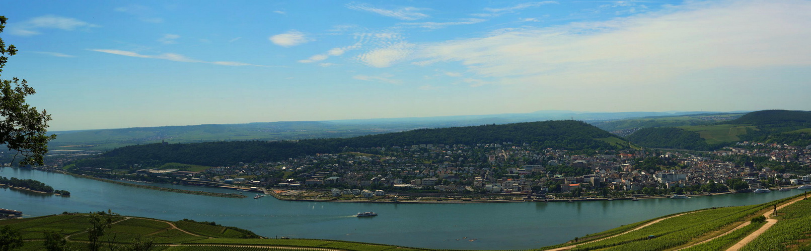 heute am Rhein