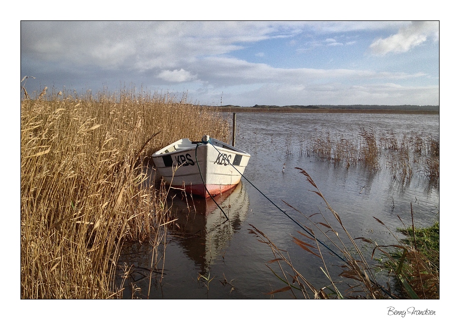 heute am Ringkøbing Fjord