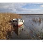 heute am Ringkøbing Fjord