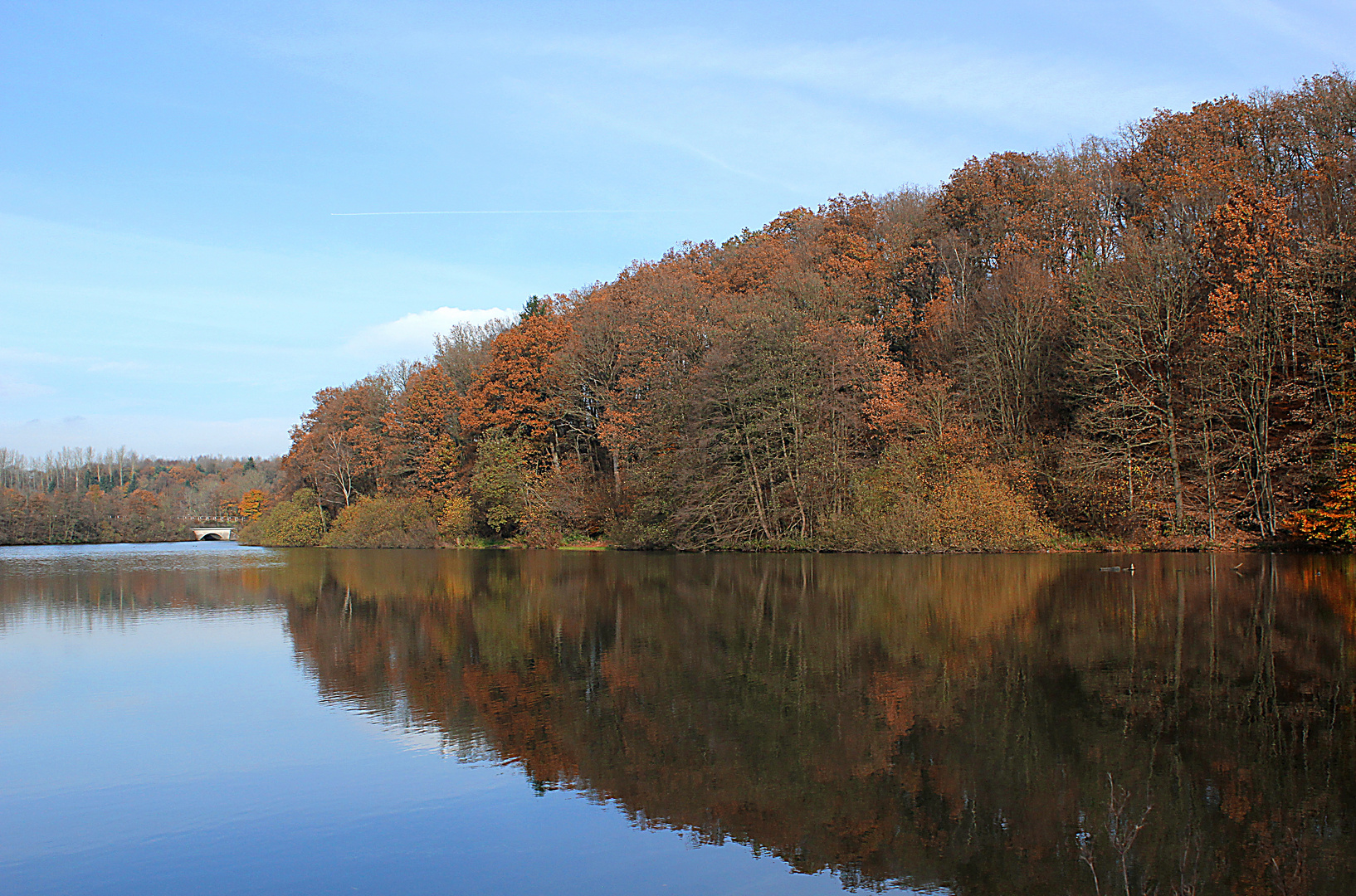 Heute am Rosental bei Olpe