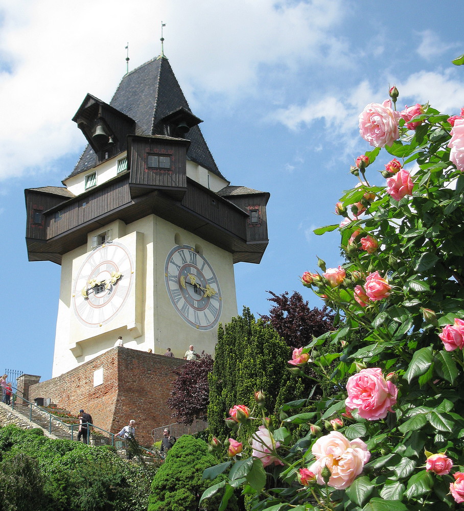 Heute am Schlossberg...