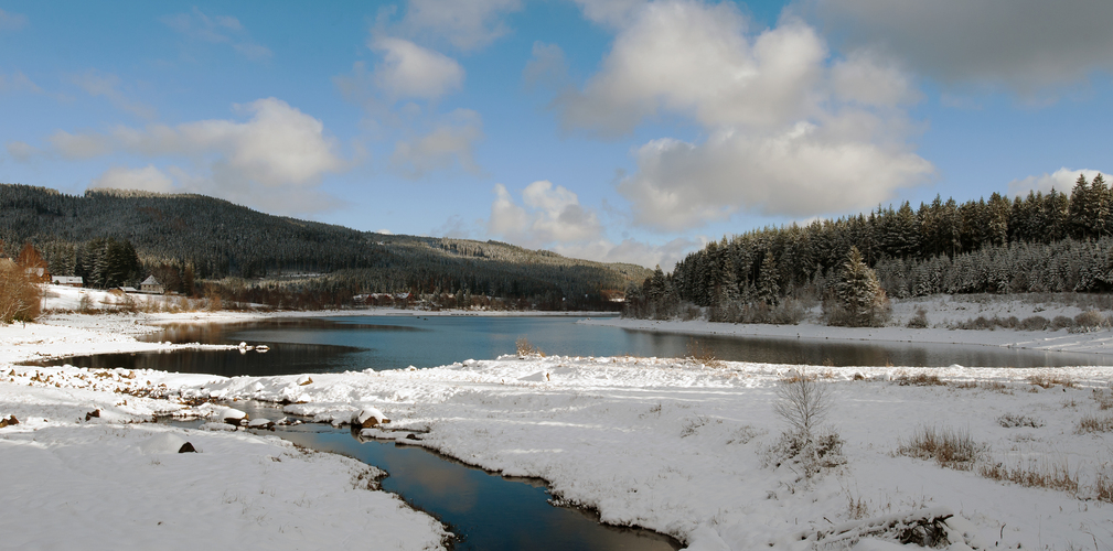 heute am Schluchsee