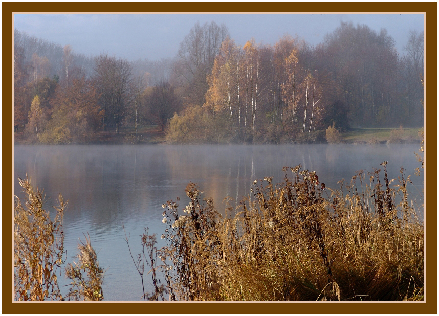 Heute am See