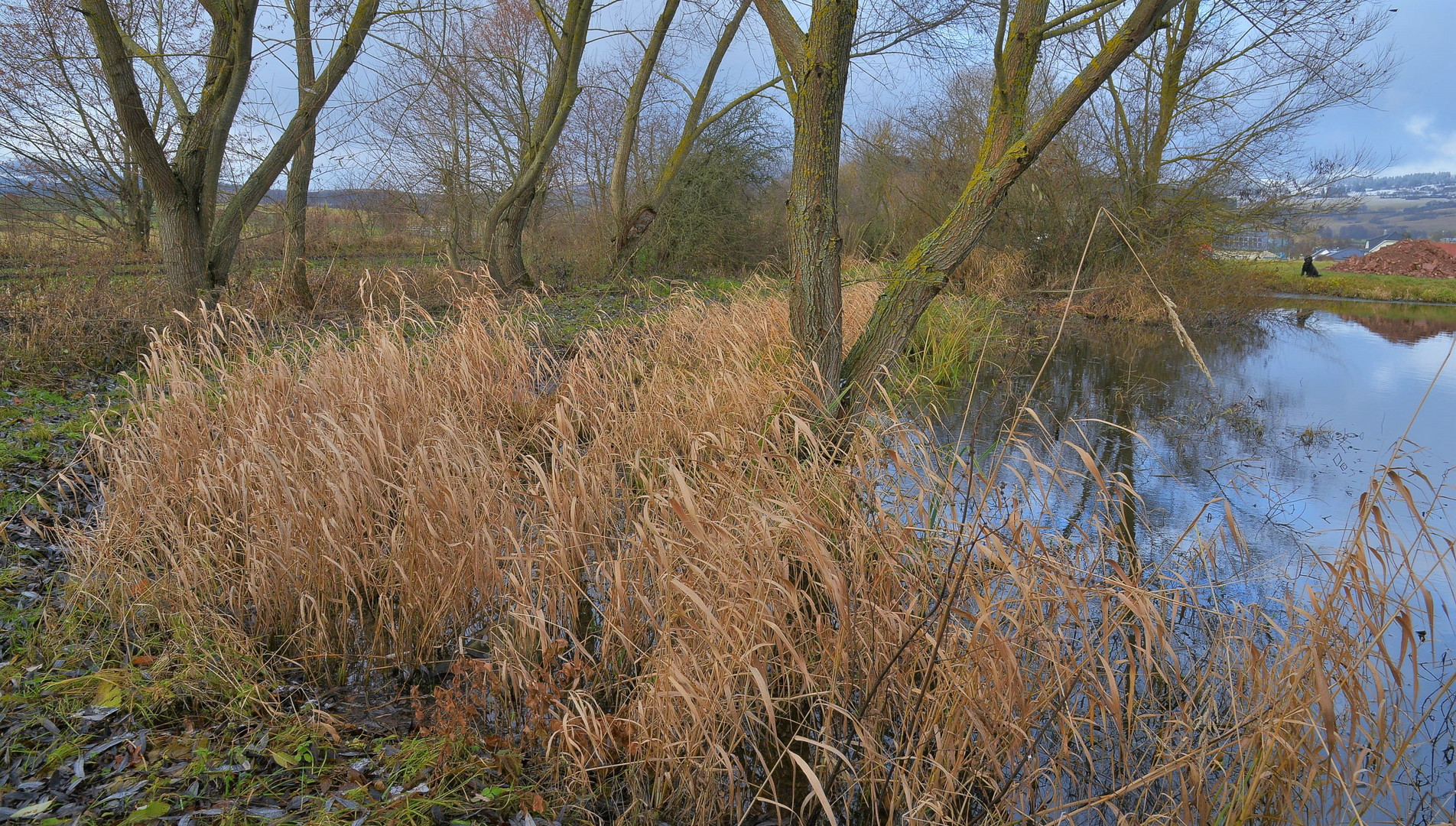 heute am See, 2