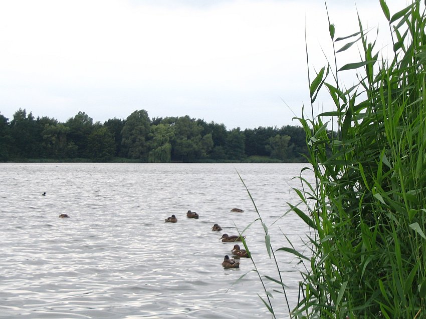 Heute am See